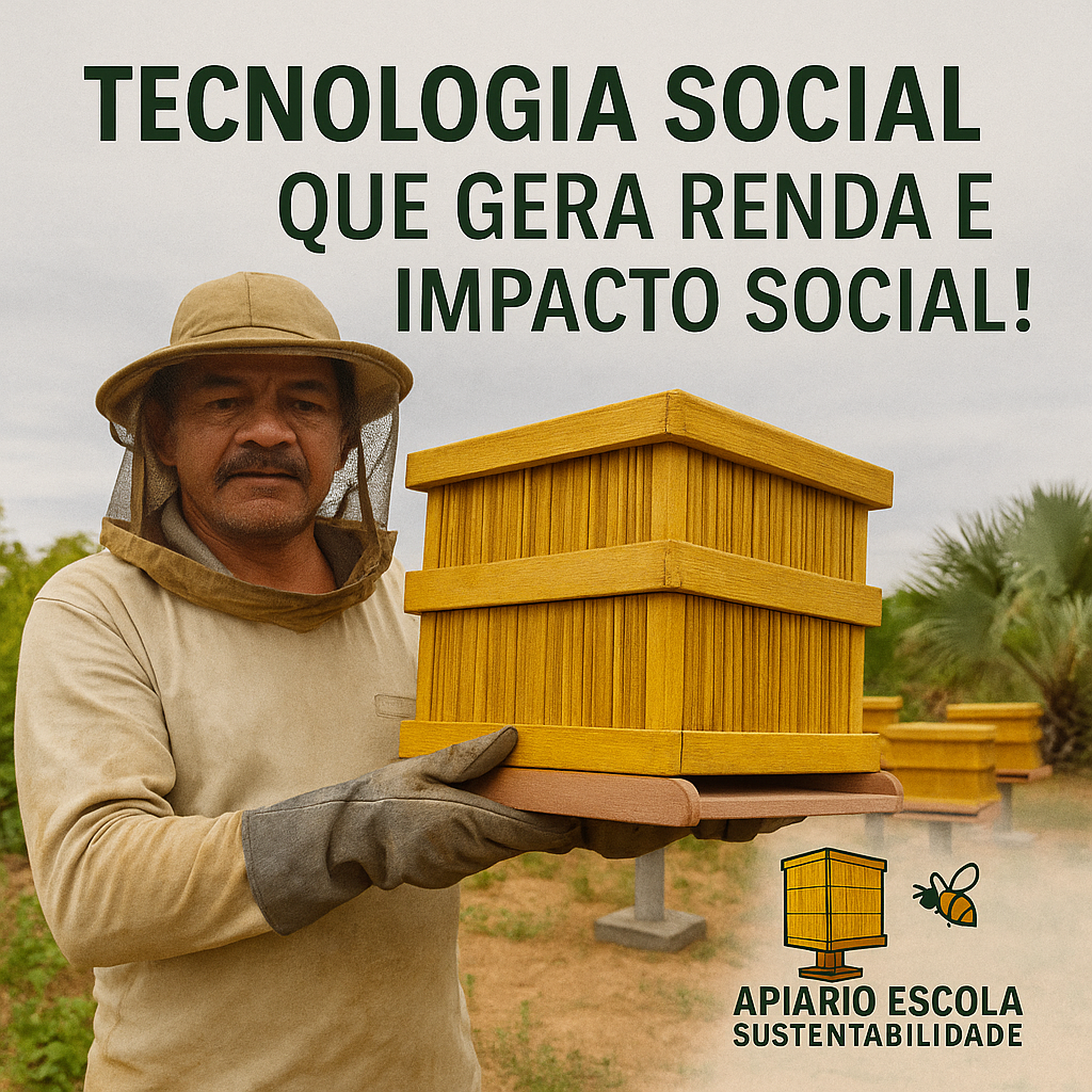 02 - Tecnologia Social.png